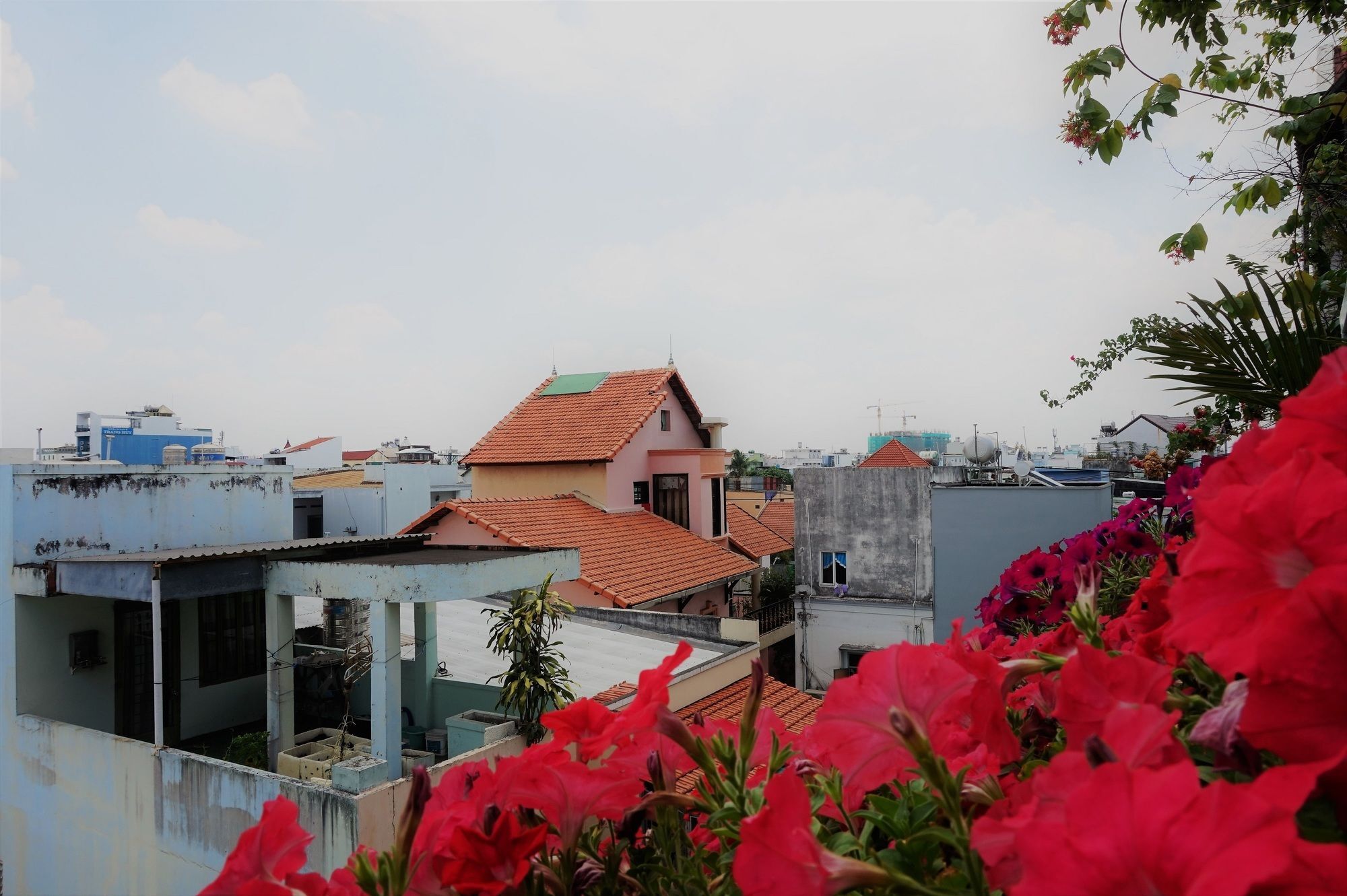 Reddoorz Near Khu Che Xuat Tan Thuan 2 Hotell Ho Chi Minh-byen Eksteriør bilde